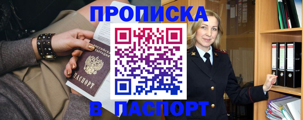 прописка поиск в Купино